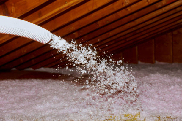 Insulation Inspection Services in Asheville, NC