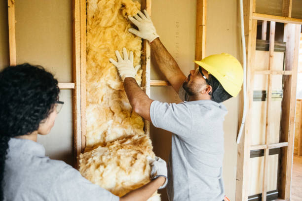 Best Insulation Inspection Services  in Asheville, NC