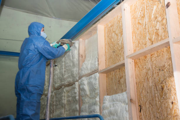 Best Residential Insulation Services  in Asheville, NC