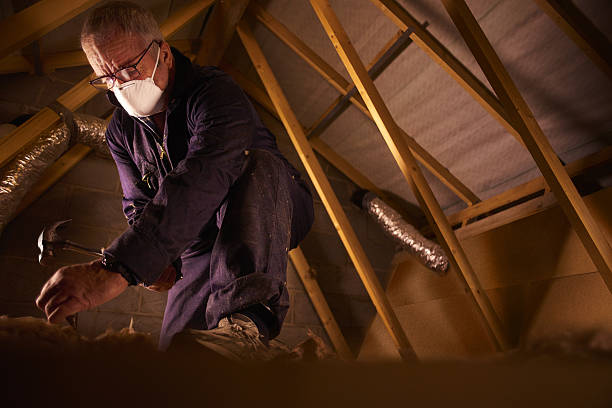 Insulation Repair Services in Asheville, NC