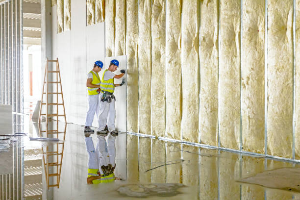 Best Insulation Removal Services  in Asheville, NC